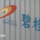 Country Garden: China property giant hit with liquidation petition