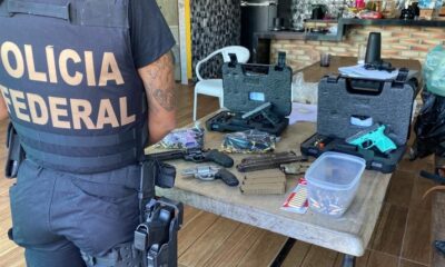 Federal Police seize weapons and animals in operation against wildlife trafficking (courtesy Federal Police)