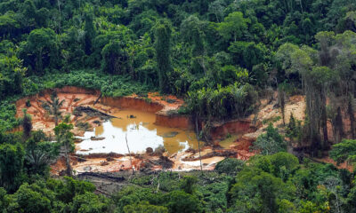 Illegal mining area in the Yanomami Indigenous Land (Leo Otero/Ministry of Indigenous Peoples)