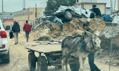 Amid ongoing strife in Gaza and Ukraine, UN chief reiterates peace call