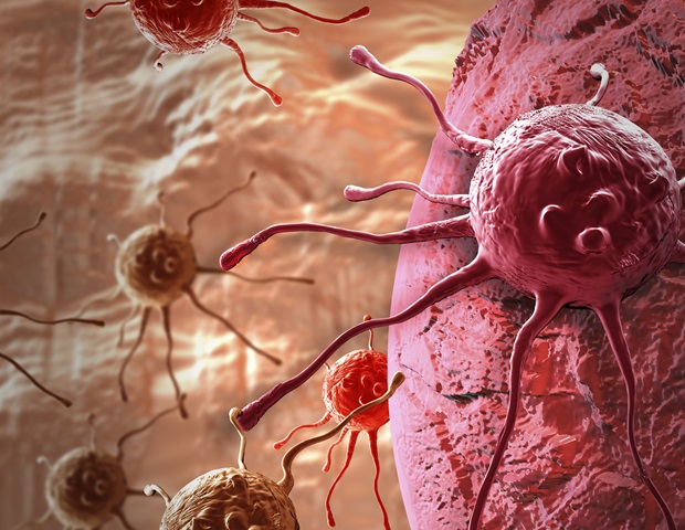 Breakthrough imaging method enhances precision in prostate cancer treatment