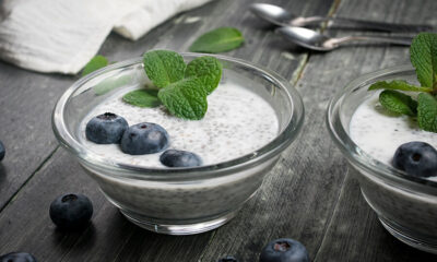 Coconut Protein Chia Pudding