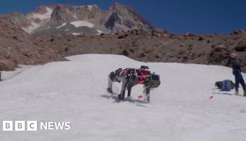 Engineers in Oregon train dog robot to walk on Moon