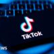 Government should counter misinformation on TikTok - MPs