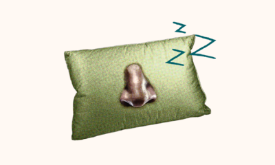 abstract image of a nose on a pillow