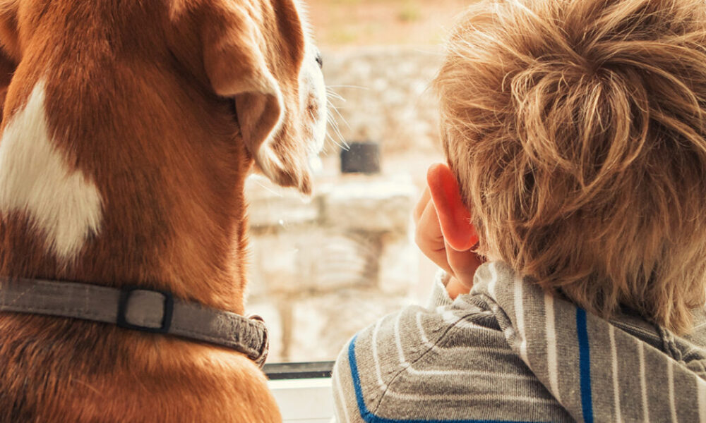 Supporting a child after the death of a pet - CHOC