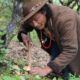 Wildfire destroys prized mushrooms, income source for Tibetans — Radio Free Asia