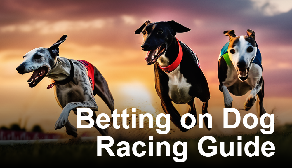 Betting on Dog Racing Guide