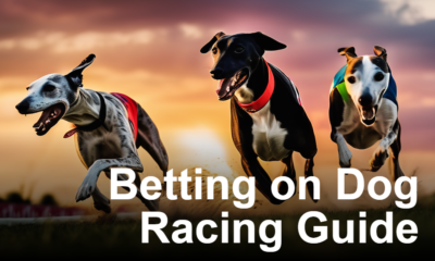 Betting on Dog Racing Guide