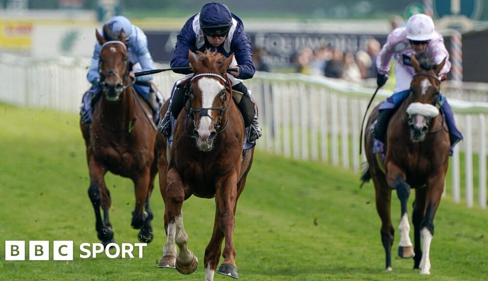 Economics impresses in Dante Stakes win at York