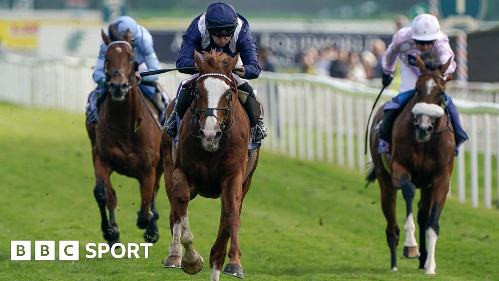 Economics impresses in Dante Stakes win at York