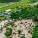 Floods destroy lodges, kill animals in the Mara