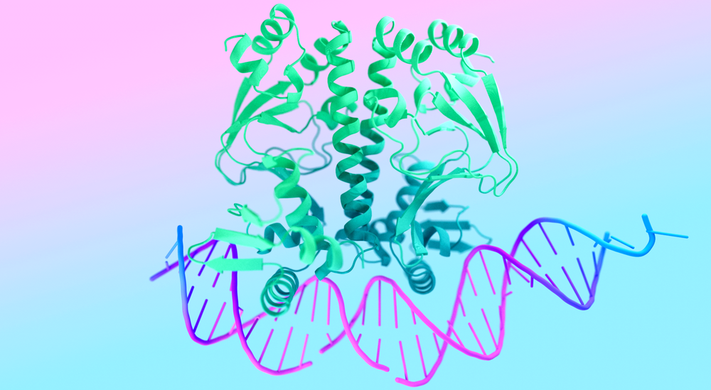 Google Unveils AI for Predicting Behavior of Human Molecules