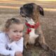 An online story claimed a toddler had been missing for 2 days until rescuers saw a pit bull wander into the yard and also mentioned a veterinarian.