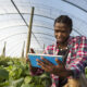 Unlocking Africa’s $1 Trillion Food Economy: The Role Of Global Aid And Sustainable Technology