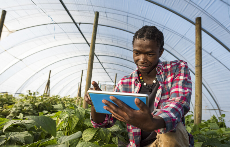 Unlocking Africa’s $1 Trillion Food Economy: The Role Of Global Aid And Sustainable Technology