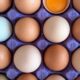 Are eggs good for kids? - CHOC