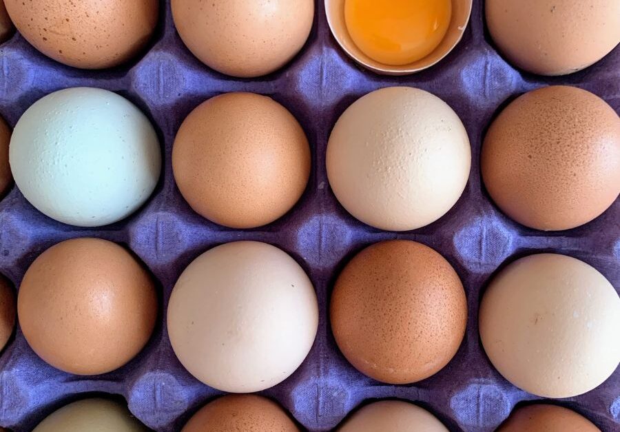 Are eggs good for kids? - CHOC