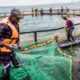 Boom ahead for African fish farming amid surging protein demand