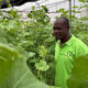 Cashing in on Africa's agriculture opportunities