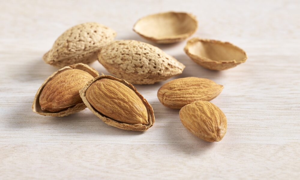 Health Benefits Of Adding Almonds Into Daily Fitness Regime - Blog