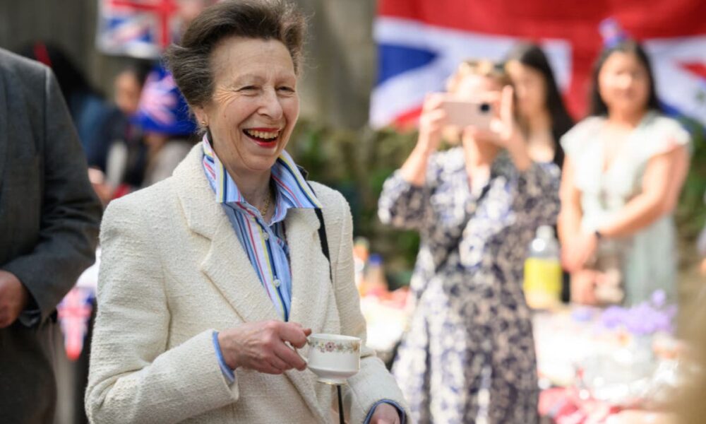 Princess Anne in hospital with concussion after ‘being kicked by horse’