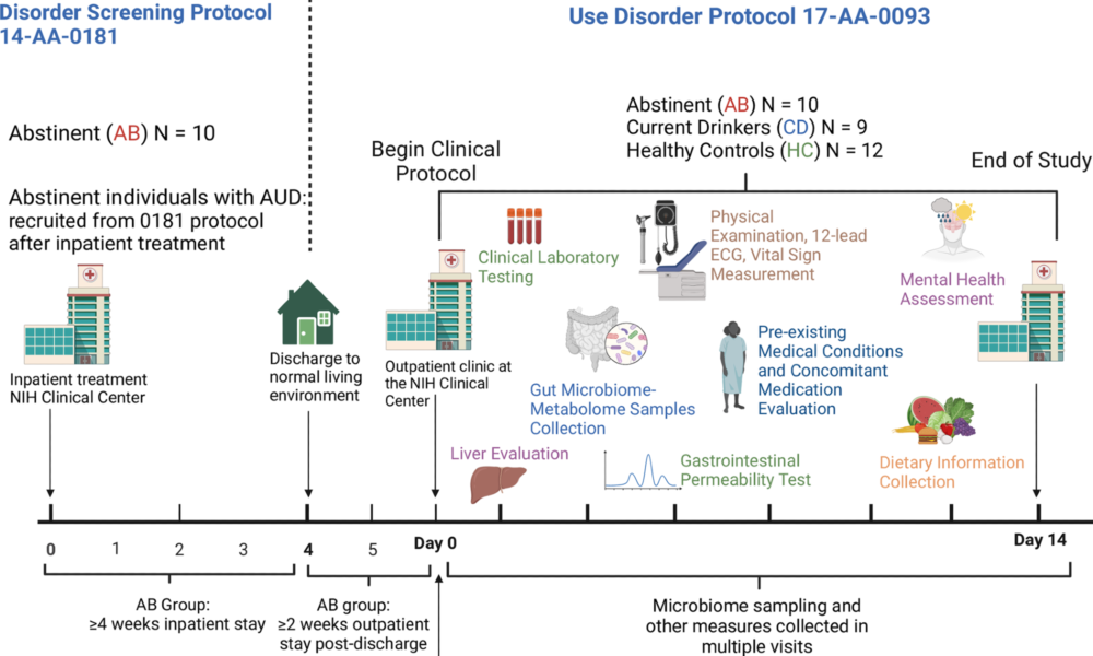 Schematic representation of the study design. Abstinent individuals with AUD (AB) were enrolled in the study after ≥4 weeks of inpatient treatment (NIH/NIAAA treatment protocol 14-AA-0181), followed by ≥2 weeks of “real life” (living their normal life). Non-treatment-seeking, currently drinking individuals with AUD (CD) and matched healthy controls (HC) were also enrolled. Fecal samples from the study participants were collected and processed for gut microbiome and metabolome analysis. Physical examination, 12-lead ECG, vital sign measurements, and laboratory tests were performed. Information on physical and mental health (including information on medical conditions and medications) and dietary intake was gathered and analyzed. Transient liver elastography and gastrointestinal permeability testing were carried out.