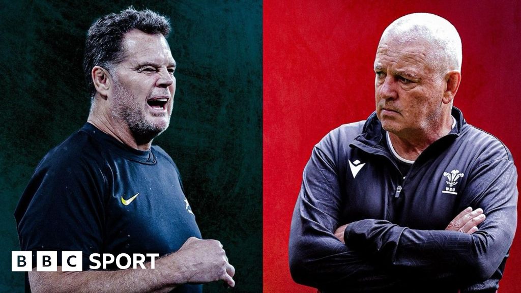 South Africa v Wales: Warren Gatland aims to tame Springboks