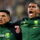 South Africa vs Ireland: Bok injuries mount before two-Test summer series