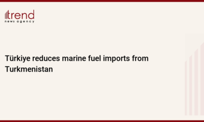 Türkiye reduces marine fuel imports from Turkmenistan