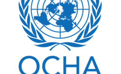 United Nations Resident and Humanitarian Coordinator in Nigeria Statement on attacks in Gwoza, Borno