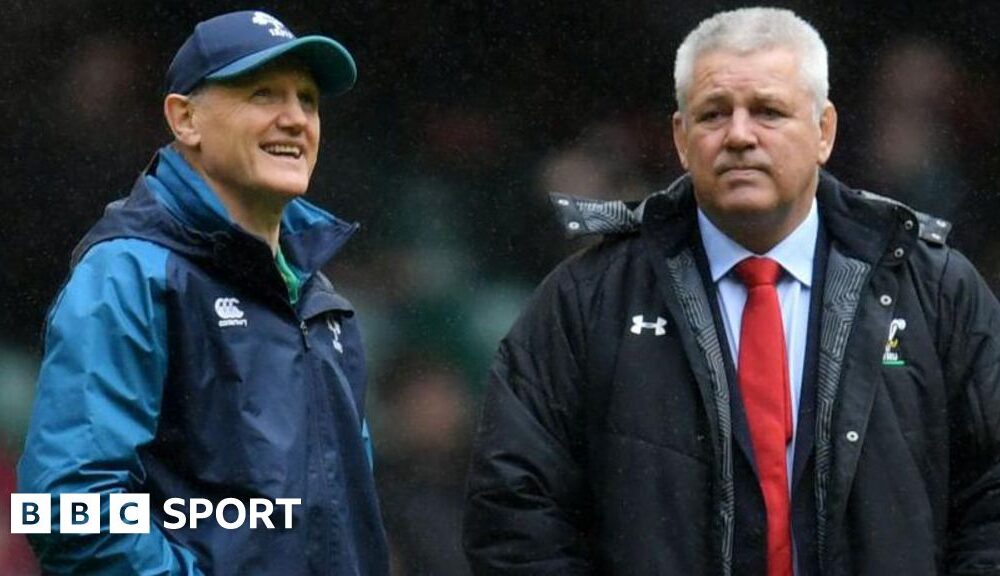 Australia v Wales: Rival coaches Warren Gatland and Joe Schmidt reunite in Sydney