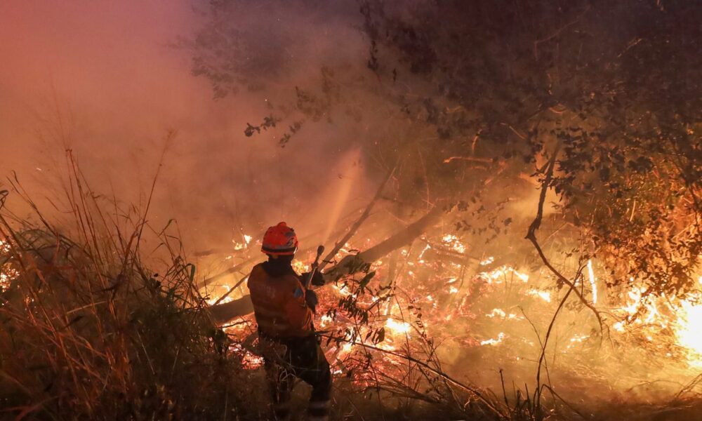 Firefighters battle blazes in the Pantanal (Alvaro Rezende / Mato Grosso do Sul Communications Office)