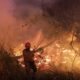 Firefighters battle blazes in the Pantanal (Alvaro Rezende / Mato Grosso do Sul Communications Office)