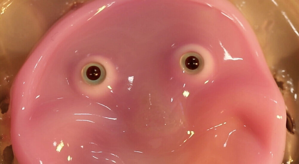 Robots Get a Fleshy Face (and a Smile) in New Research