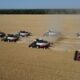 Wheat harvest in Russia