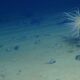 Scientists discover ‘dark’ oxygen being produced more than 13,000 feet below the ocean surface