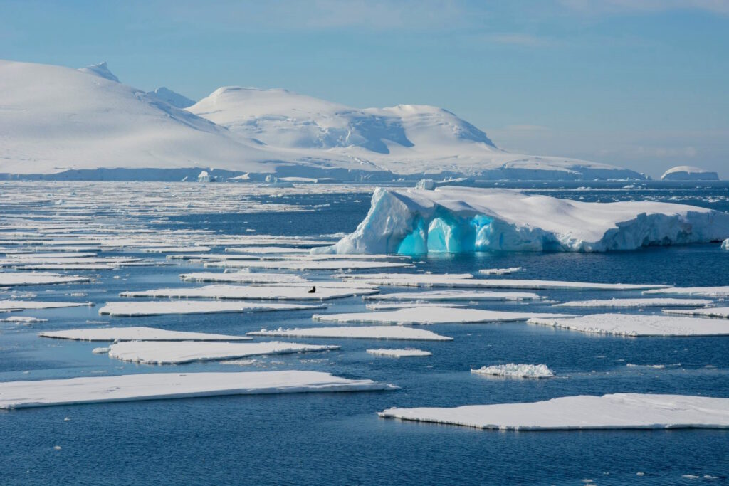 Sea ice loss remains a serious issue