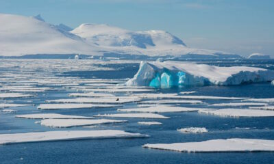 Sea ice loss remains a serious issue