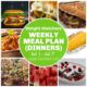 Weight Watchers Weekly Dinner Meal Ideas (7/1