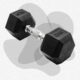 10 Best Dumbbells of 2024, Tested and Reviewed