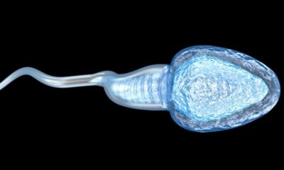 AI model predicts male infertility risk using blood hormone levels