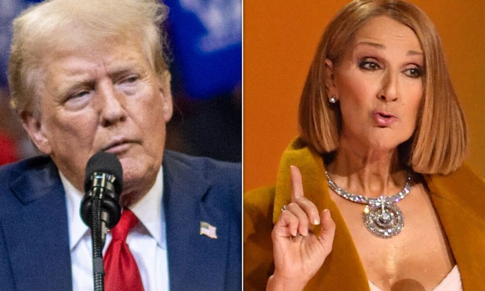 Celine Dion Sinks Trump Campaign's Use Of Iconic Song With 4-Word Question