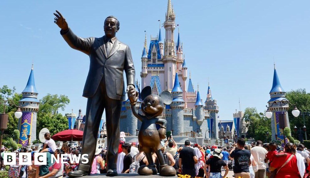 Disney axes bid to stop wrongful death lawsuit over Disney+ terms