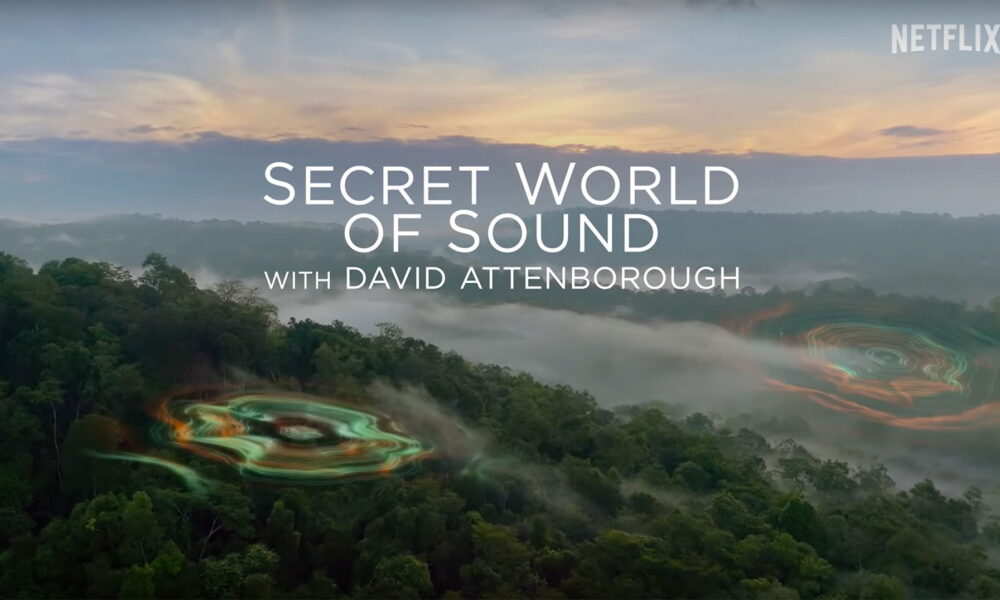 Doc Series 'Secret World of Sound with David Attenborough' Trailer