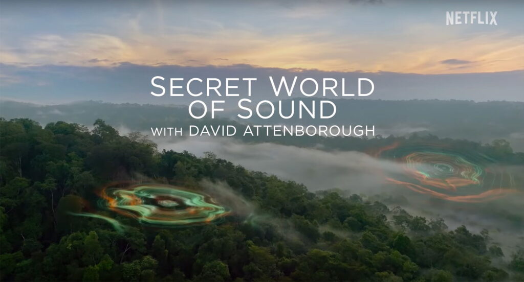 Doc Series 'Secret World of Sound with David Attenborough' Trailer