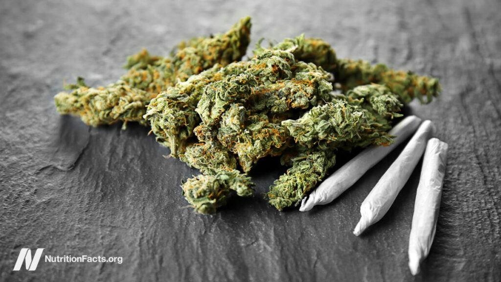 Does Marijuana Affect Weight Gain or Bone Density? 