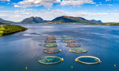 EU fisheries remained ahead of aquaculture in 2022