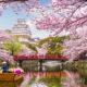 First Class Holidays adds Japan tours to portfolio