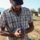 Growing mangoes in Greece is the latest bizarre climate change experiment as droughts become the norm